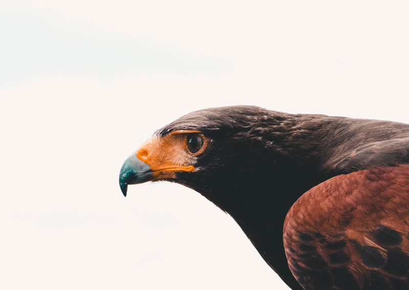 Focus Is value-based pricing the answer?